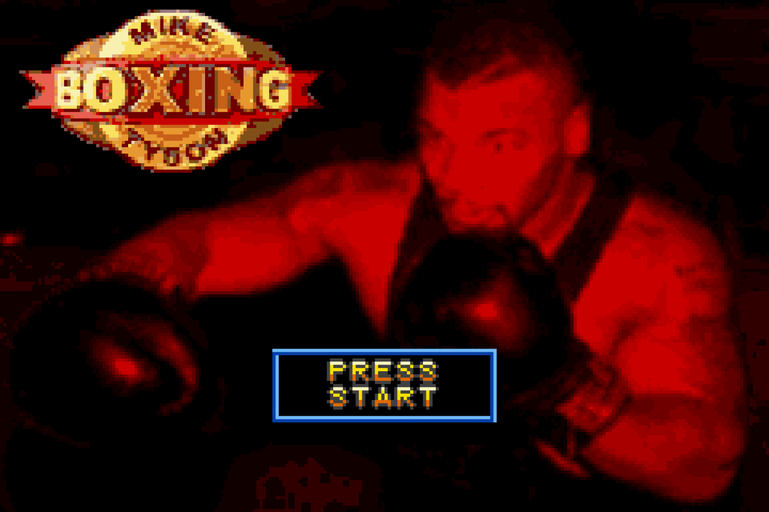 Mike Tyson Boxing